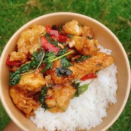 ข้าวกะเพราไก่กรอบ