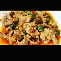 ผัดกระเพราหมูชิ้นราดข้าว