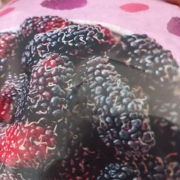 ลูกหม่อนปั่น