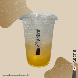 แมวชง กัลพฤกษ์ วุฒากาศ