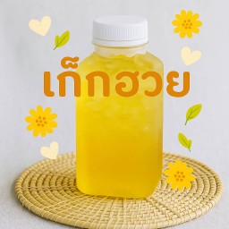 เก๊กฮวย