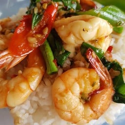 กระเพรากุ้ง