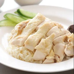 ข้าวมันไก่ต้ม ธรรมดา