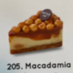 Macadamia