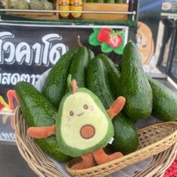I'm Avocado ชุมพร