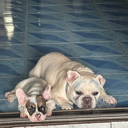 ค่าขนมเฝ้าร้าน