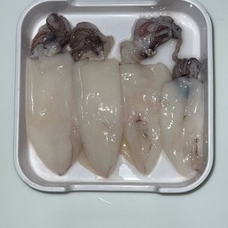 ปลาหมึกถาดเล็ก