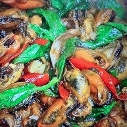 ข้าวราดหอยแมลงภู่ผัดใบโหรพา