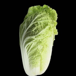 ผักกาดขาว