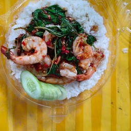 กระเพราทะเล