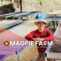 Magpie Farm SCM | Light Roast ห้วยชมพู