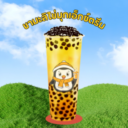 ชามะลิไข่มุกเอ็กซ์ตรีม
