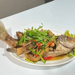 ปลากระพงผัดขึ้นฉ่าย