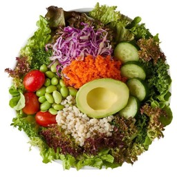 สลัดไข่กุ้งอะโวคาโดแซ่บ