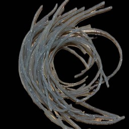 เส้นเล็กจีน