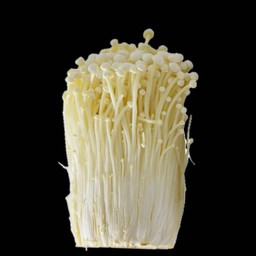 เห็ดเข็มทอง