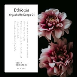ETHIOPIA YIRGACHEFE KONGA