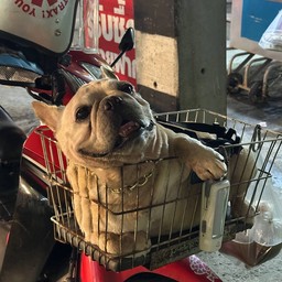 กำลังใจคนเฝ้าร้าน