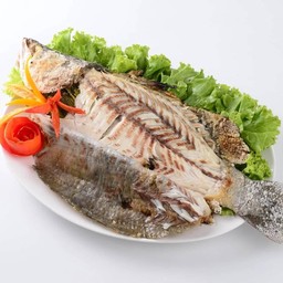 ปลากะพงเผาเกลือ ไซต์ 8-9ขีด ราคาต่อตัว