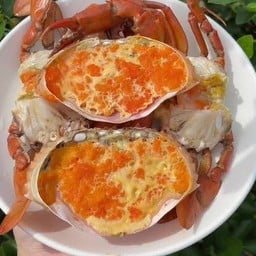 ปูทะเลเป็นตัวเมีย/ปูไข่ 300กรัม/ตัว ราคาต่อตัว