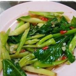 ผัดคะน้าน้ำมันหอย.