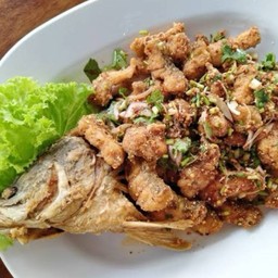 ลาบกระพง.