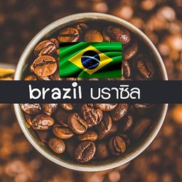 อเมริกาโน่ร้อน เมล็ดบราซิล