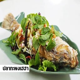 ปลากะพงเฮฮา