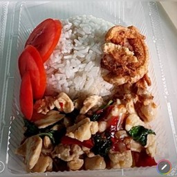 กระเพราอกไก่ราดข้าว
