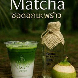 Coconut Flower Matcha มัทฉะช่อดอกมะพร้าว