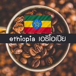 อเมริกาโน่ร้อน เมล็ดเอธิโอเปีย