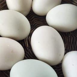 ไข่ต้มยางมะตูม