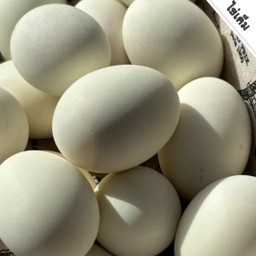 ไข่เค็ม