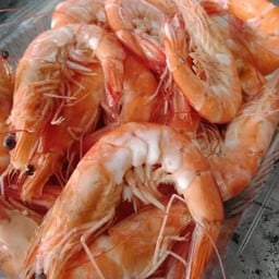 กุ้งขาว ลวก ฟรีน้ำจิ้ม พร้อมทาน ปริมาณ 1/2 โล