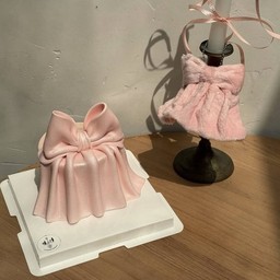 Satin Charm with Pink satin cake