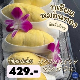 ทุเรียนหมอนทอง (เนื้ิอล้วน พรีเมี่ยม) 1KG