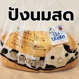 ปังนมสด