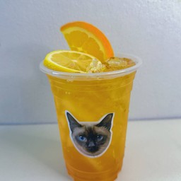 Yuzu Tea ( ชายุสุ )