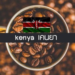 อเมริกาโน่ร้อน เมล็ดเคนย่า