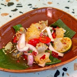 ยำแมงกะพรุนหัวกระสุน