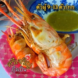 ตัวผู้ไซส์ 9-13 ตัว ครึ่ง กิโล