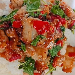 [อร่อยซ่ากับโค้ก] ข้าวผัดกระเพรา +  โค้ก ออริจินัล (ขวด)