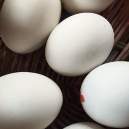 ไข่เค็ม