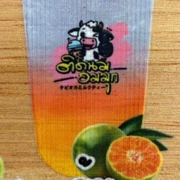 ส้มโซดา