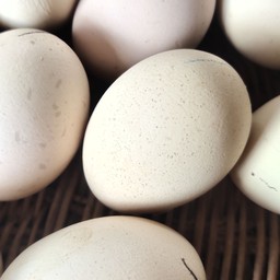 ไข่ข้าว