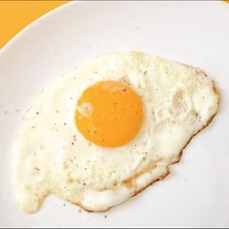 Egg (1)