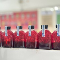 Mini T2D Kyoho grape