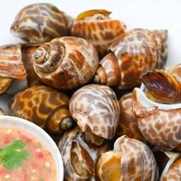 หอยหวานย่าง