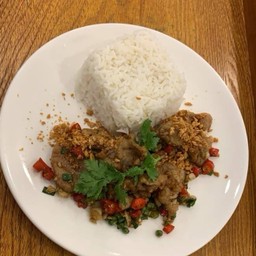 213.1 ผัดพริกเกลือหมู/ไก่(ราดข้าวหอมมะลิ)