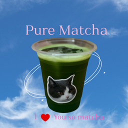 Pure Matcha (premium/ceremonial grade)
